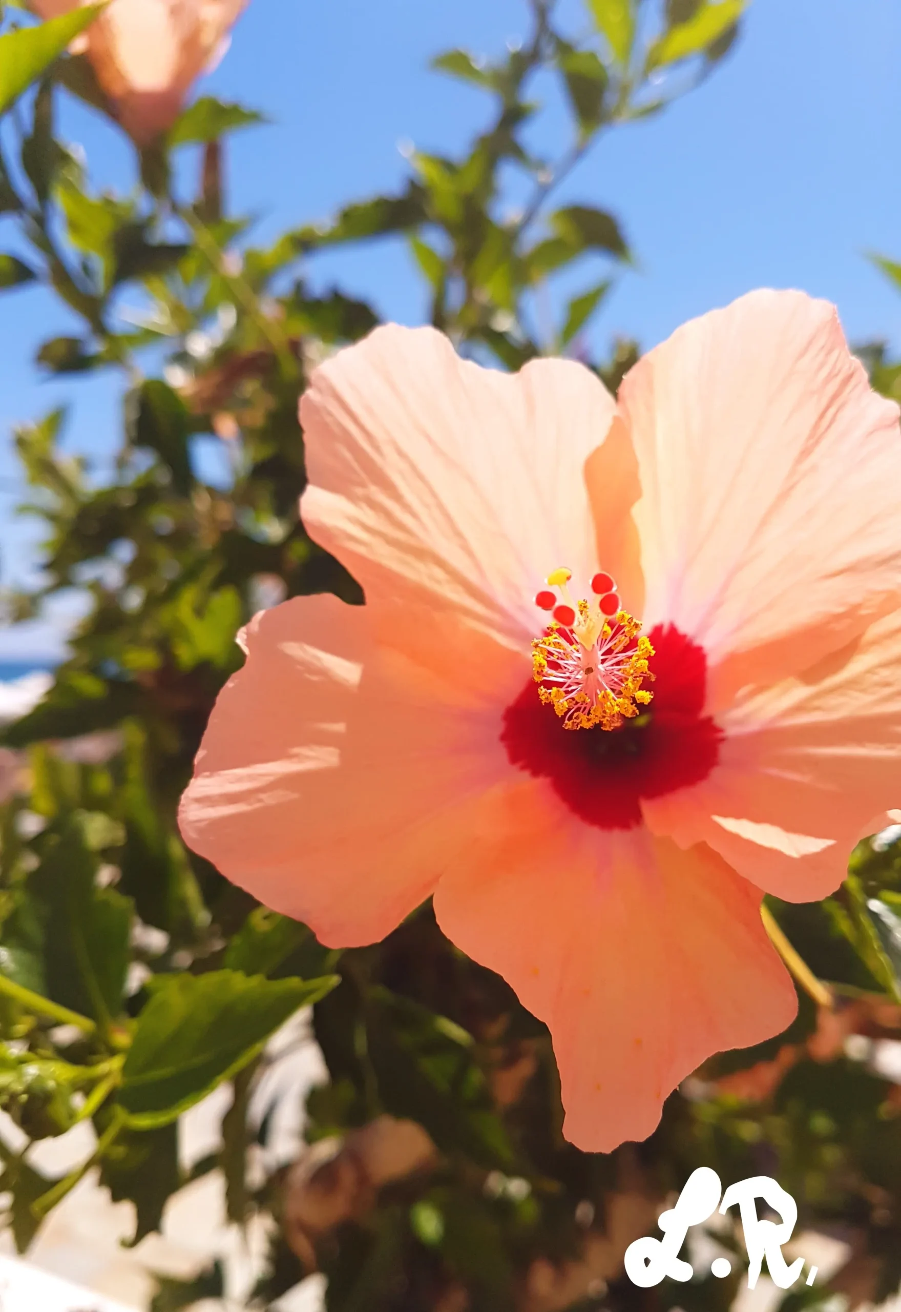 selektiver mutismus hochbegabung - Wie macht sich Hochbegabung bemerkbar