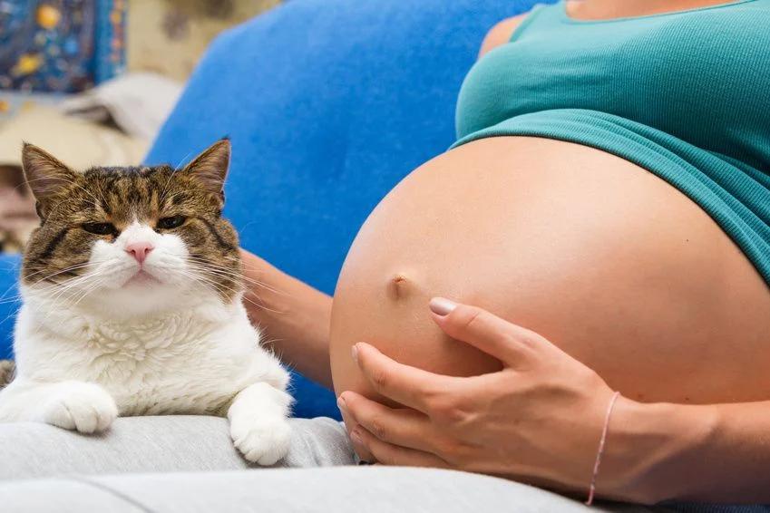 toxoplasmose hund schwangerschaft - Wie macht sich Toxoplasmose beim Hund bemerkbar