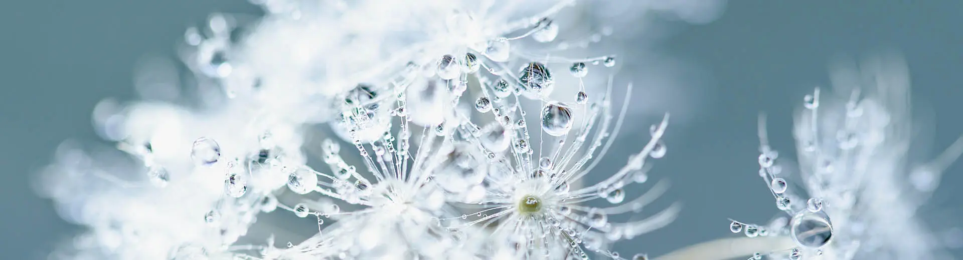 autoimmunerkrankung nach geburt - Wie merkt man eine Autoimmunerkrankung