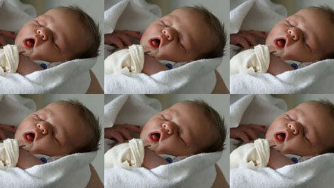 berliner sechslinge geburt - Wie oft gibt es sechslinge in Deutschland