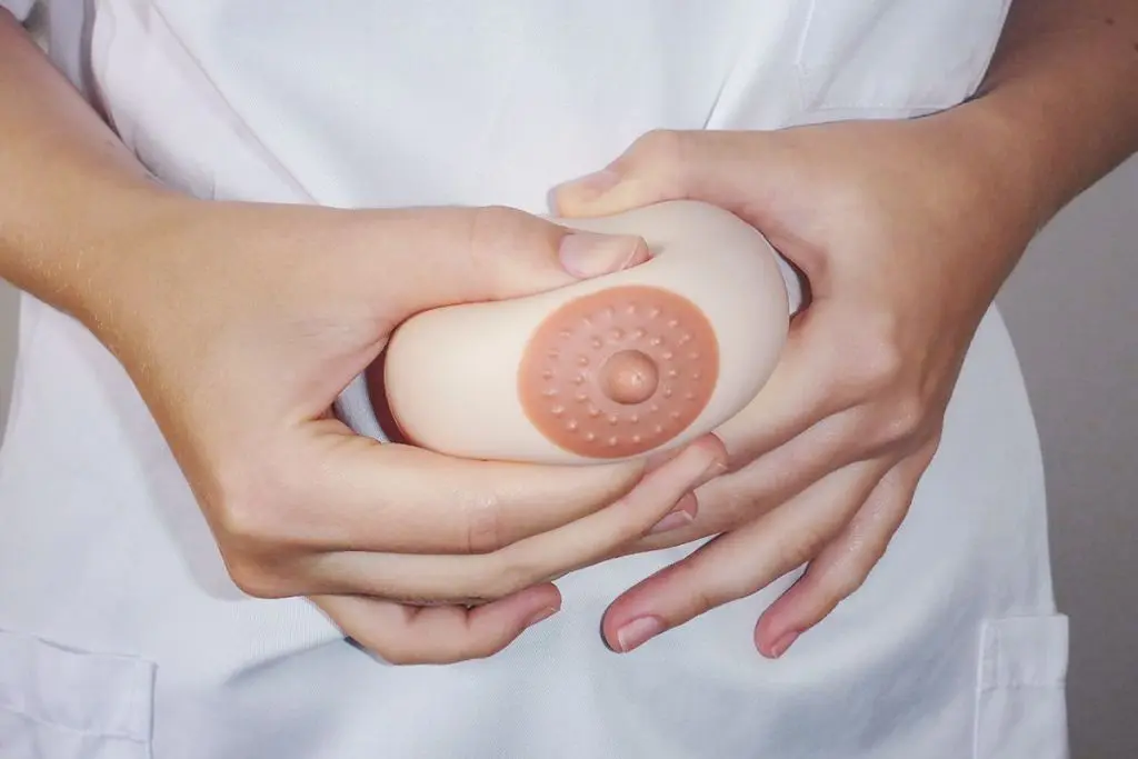 Wie regt man die Milchbildung an? - Wie regt man die Milchbildung an regt milch ausstreichen die produktion an - Wie regt man die Milchbildung an