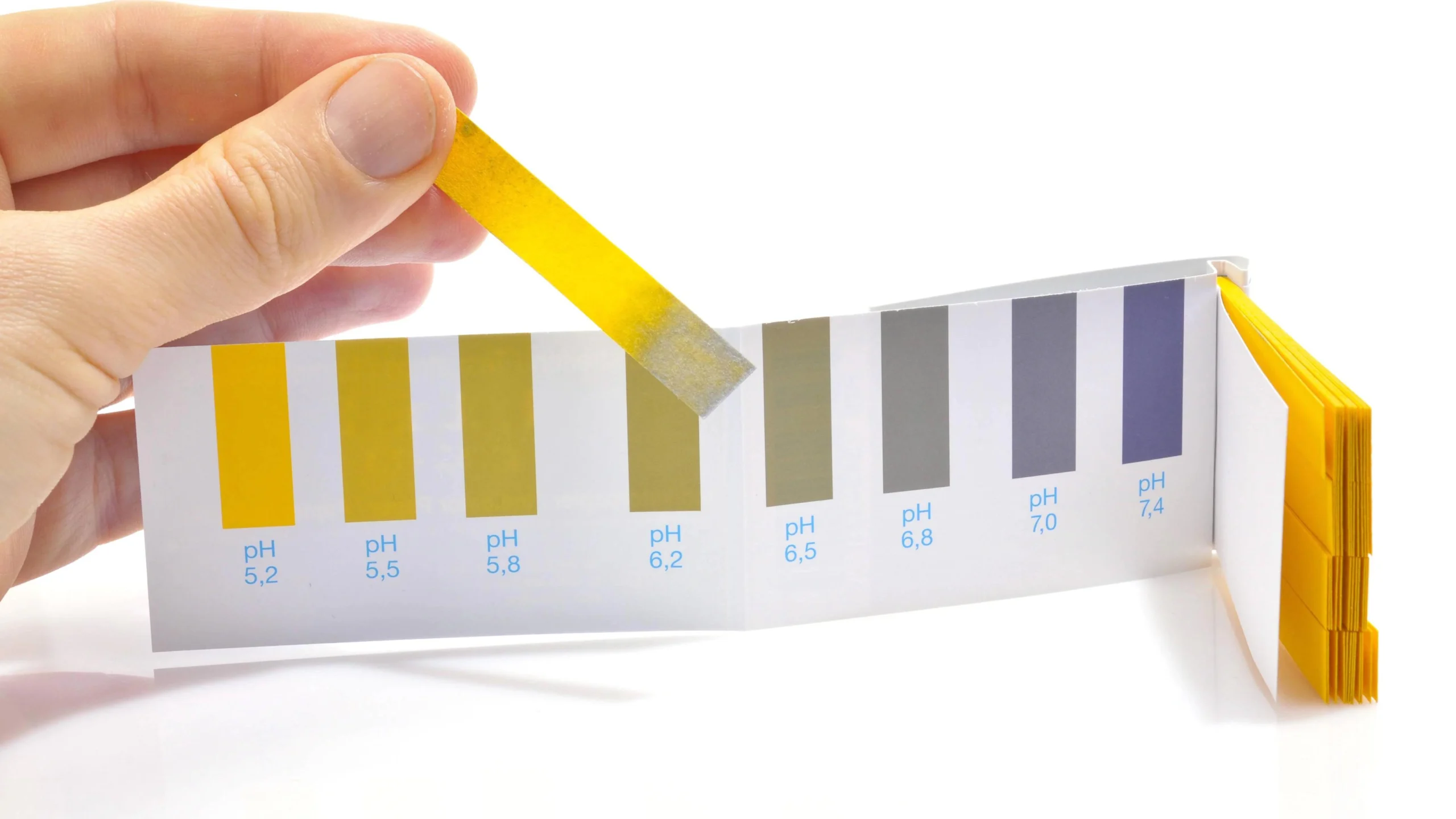 ausfluss riecht süßlich schwangerschaft - Wie riecht Fruchtwasser in der Schwangerschaft