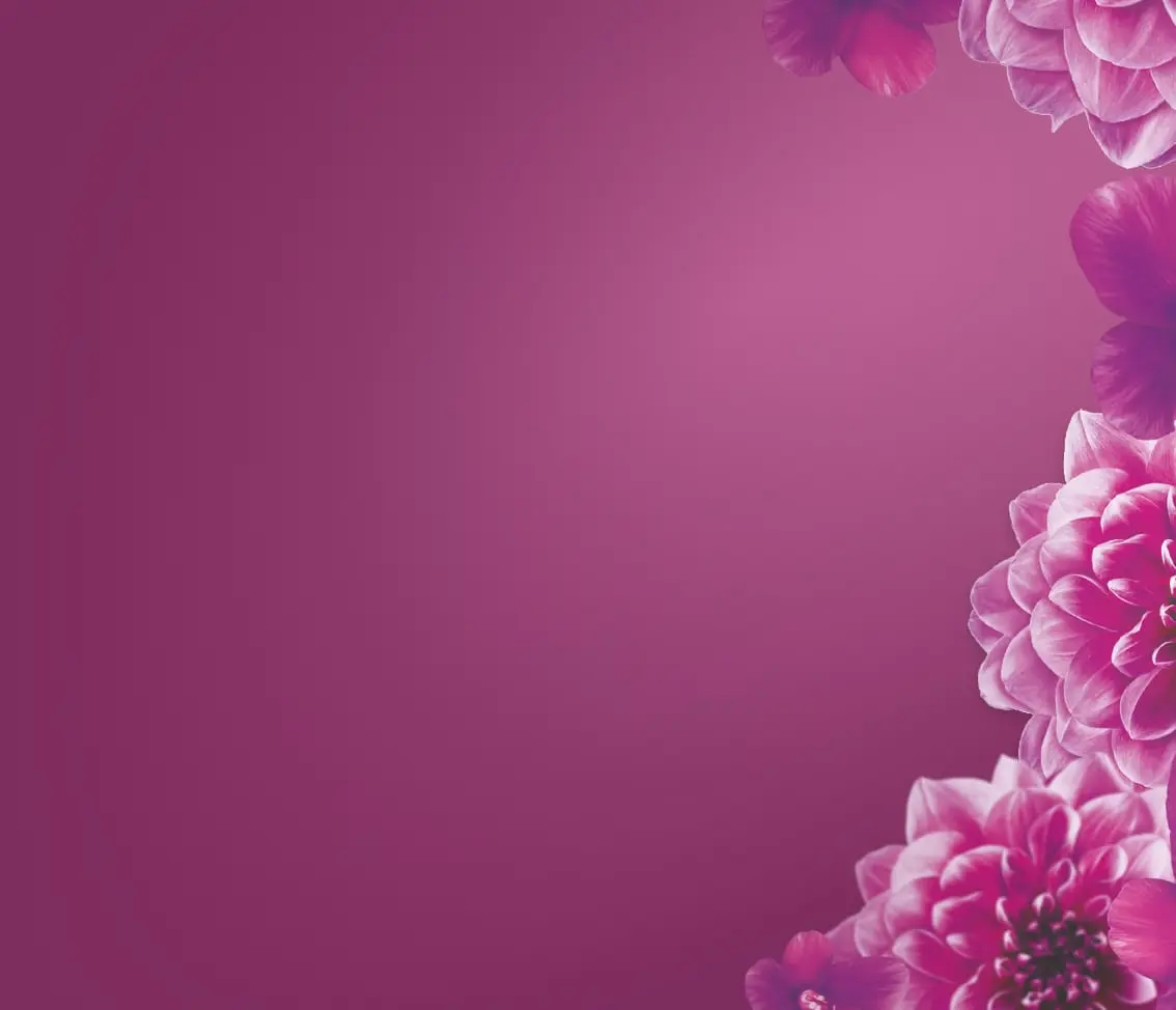 lenor weichspüler amethyst blütentraum - Wie riecht Lenor Amethyst