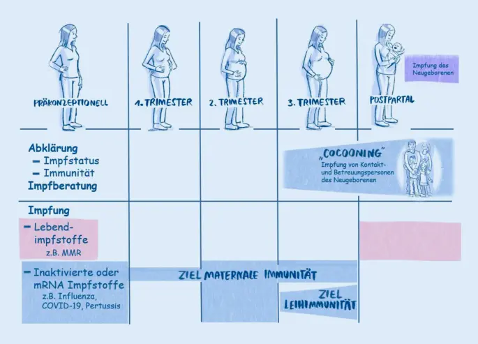 influenza b schwangerschaft - Wie schlimm ist Influenza B