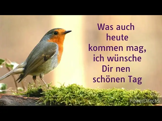 Whatsapp: Einen wunderschönen Tag wünschen - Wie schreibt man einen wunderschönen Tag whatsapp wunderschönen schönen tag - Wie schreibt man einen wunderschönen Tag