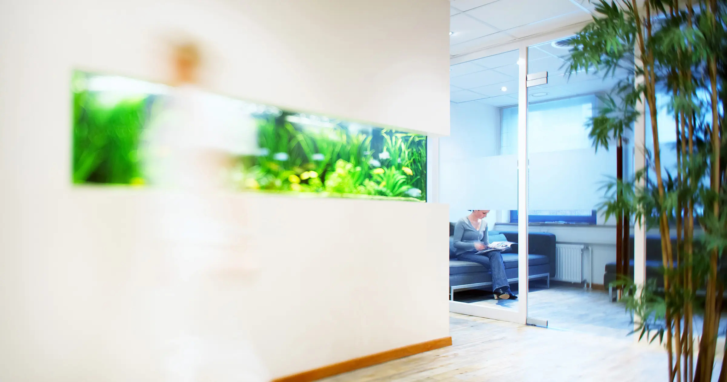 erreger toxoplasmose - Wie Toxoplasmose-Erreger abtöten