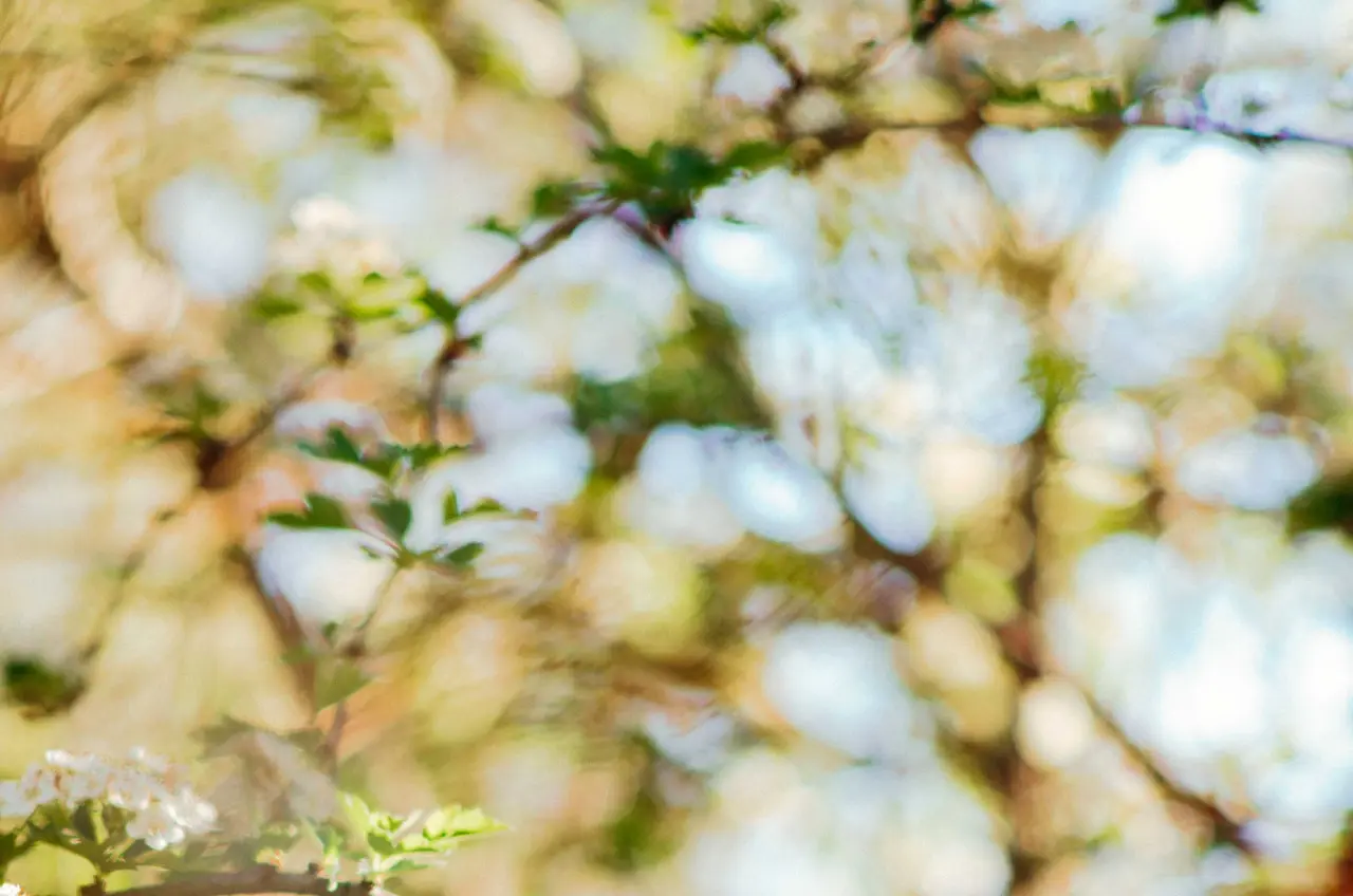 stimmungsschwankungen schwangerschaft - Wie verändert sich die Psyche in der Schwangerschaft