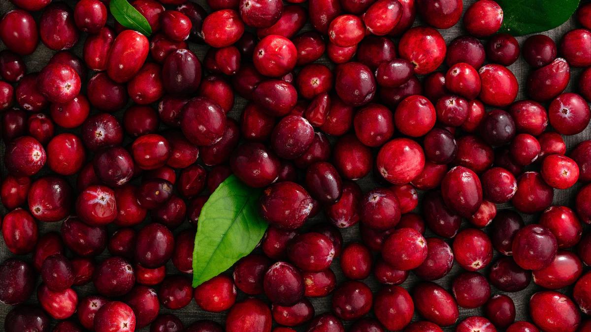 Cranberry in der Schwangerschaft: Vorteile, Risiken und Tipps - Wie viel Cranberrys am Tag cranberry schwangerschaft - Wie viel Cranberrys am Tag