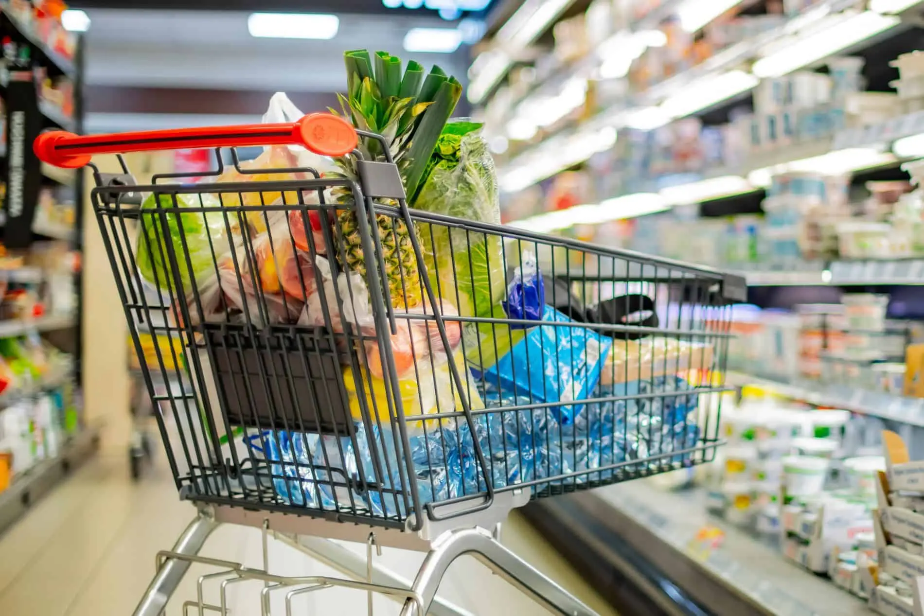 wie viel für essen im monat - Wie viel Geld für Essen im Monat 1 Person 2024