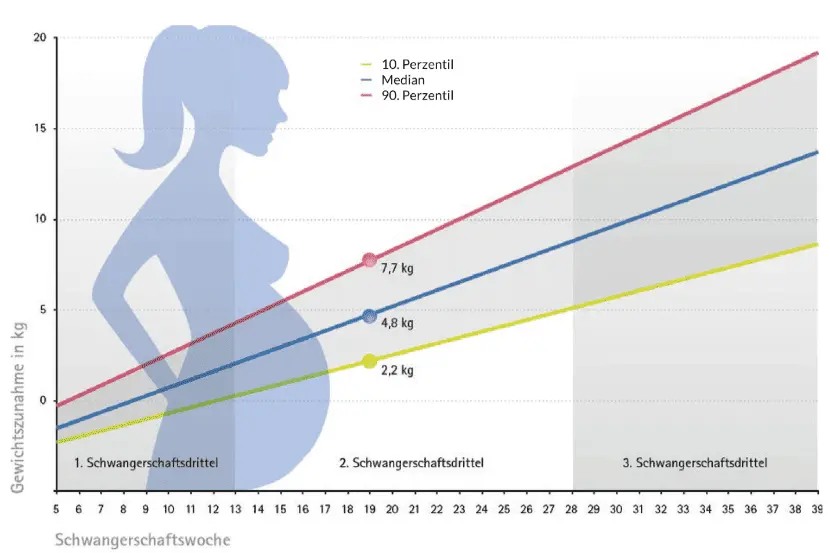 zwillingsschwangerschaft gewichtszunahme - Wie viel Gewichtszunahme Schwangerschaft Zwillinge