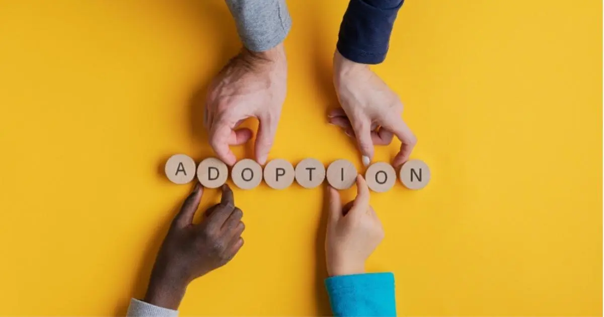 kind zur adoption freigeben direkt nach der geburt - Wie viel kostet es ein Kind zur Adoption freizugeben