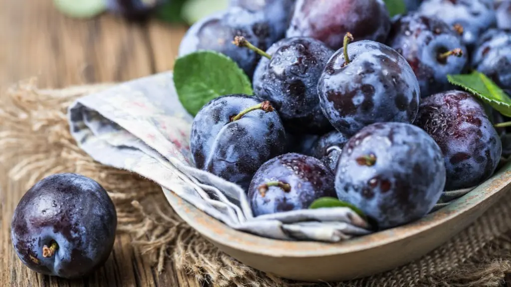 pflaume schwangerschaft - Wie viel Pflaumen kann man am Tag essen