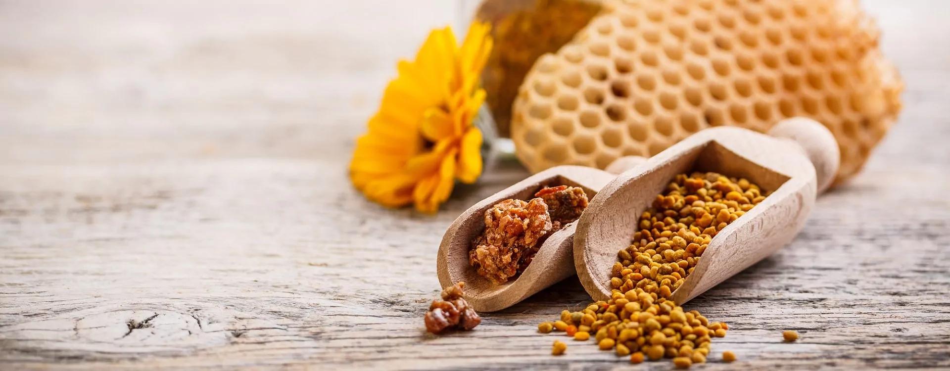 Propolis in der Schwangerschaft: Was Sie wissen müssen - Wie viel Propolis darf man nehmen propolis schwangerschaft - Wie viel Propolis darf man nehmen