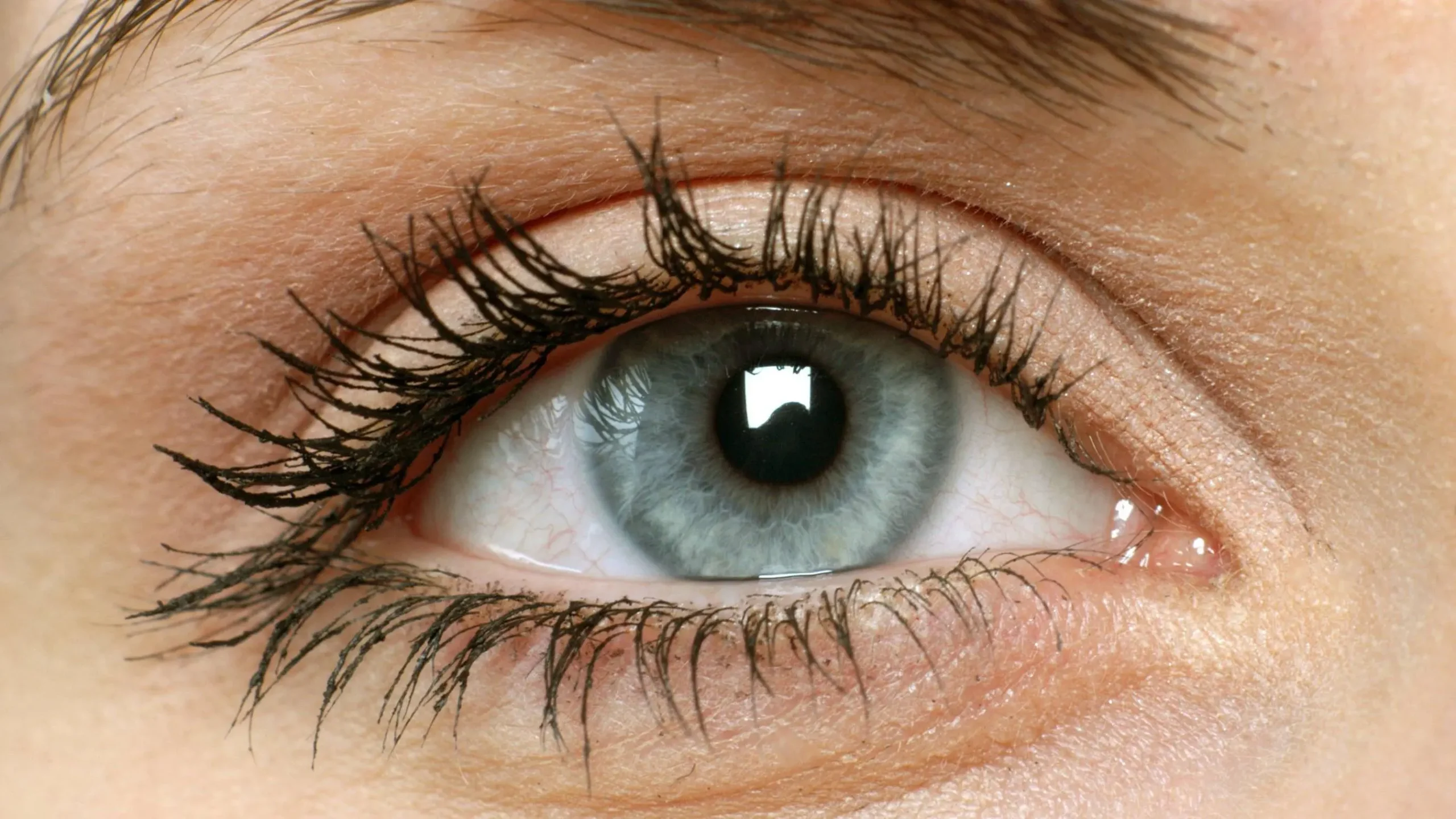 blau grau grüne augen - Wie viel Prozent der Menschen haben Blau graue Augen