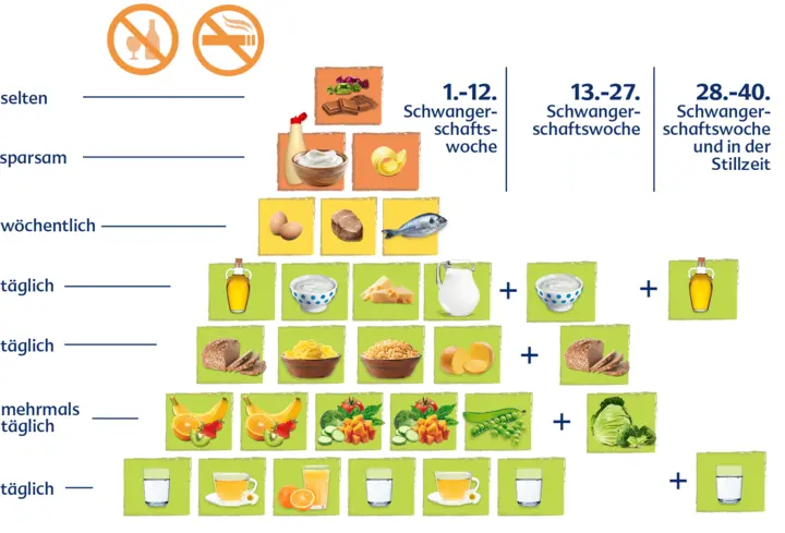 kalorienzufuhr schwangerschaft - Wie viel sollte man im 3 Trimester essen
