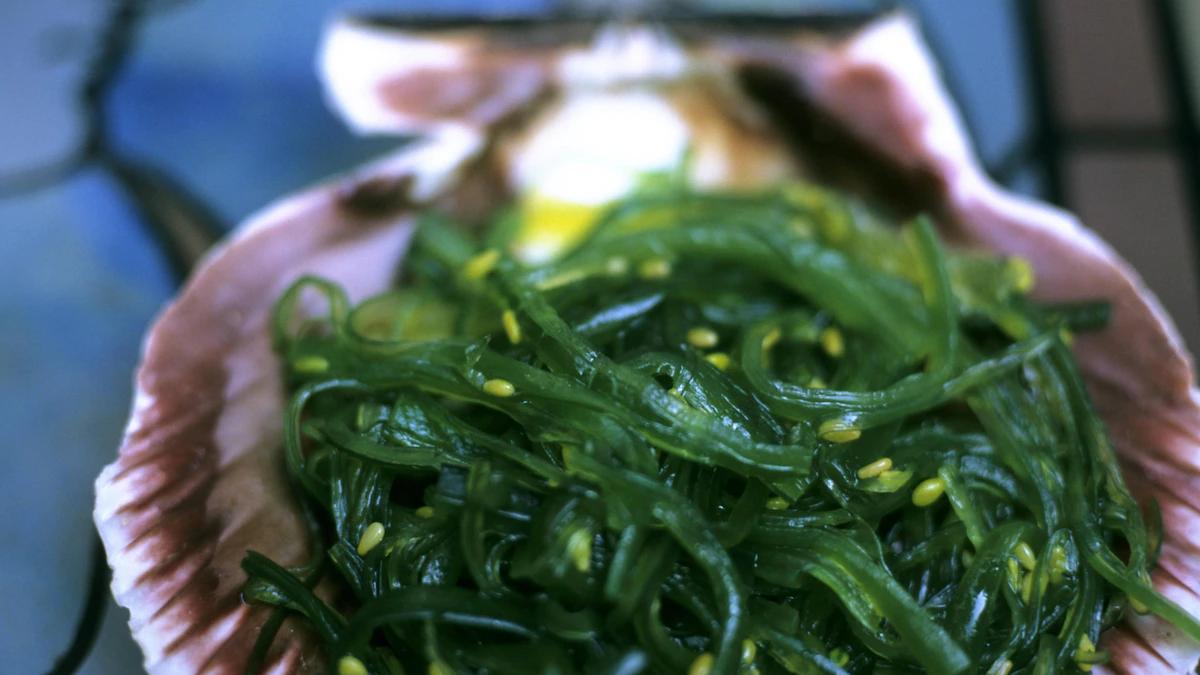 wakame salat schwangerschaft - Wie viel Wakame Salat darf man essen