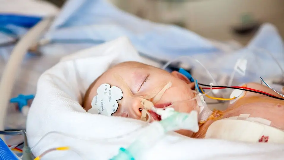 streptokokken geburt - Wie viele Frauen haben Streptokokken in der Schwangerschaft