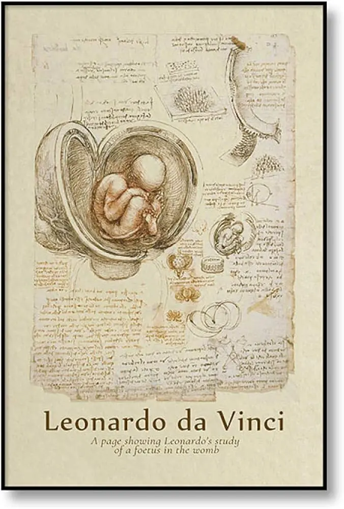 da vinci geburt - Wie viele Frauen hatte da Vinci