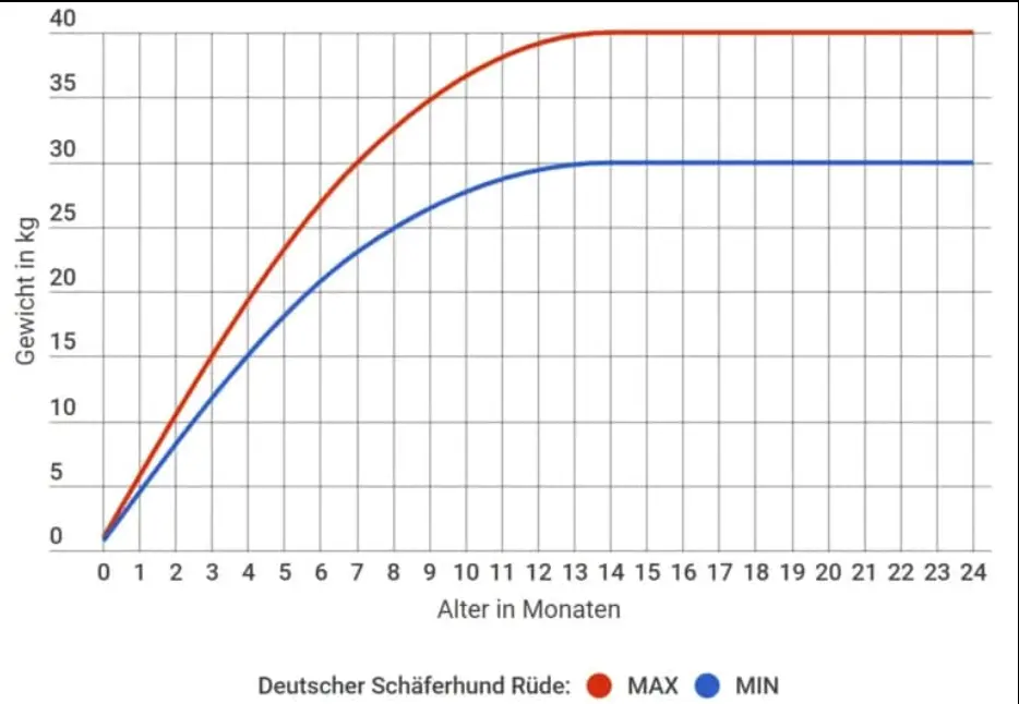 Gewicht von Schäferhund-Welpen bei der Geburt: Ein Leitfaden für Züchter - Wie viele Junge bekommt ein Schäferhund gewicht schäferhund welpen bei der geburt - Wie viele Junge bekommt ein Schäferhund