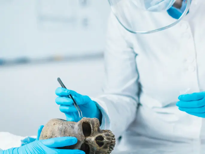 geburt in der steinzeit - Wie viele Kinder bekam eine Frau in der Steinzeit