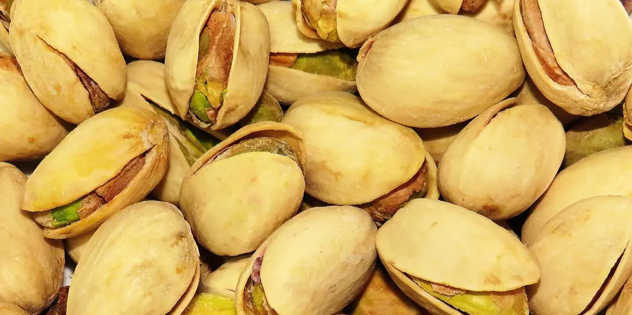 pistazien schwangerschaft - Wie viele Pistazien darf man am Tag essen