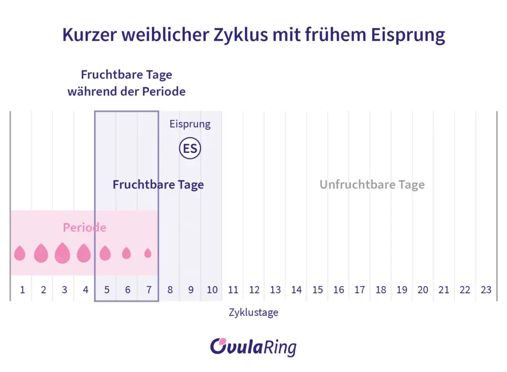 wahrscheinlichkeit schwangerschaft periode - Wie viele Tage vor der Periode kann man nicht schwanger werden