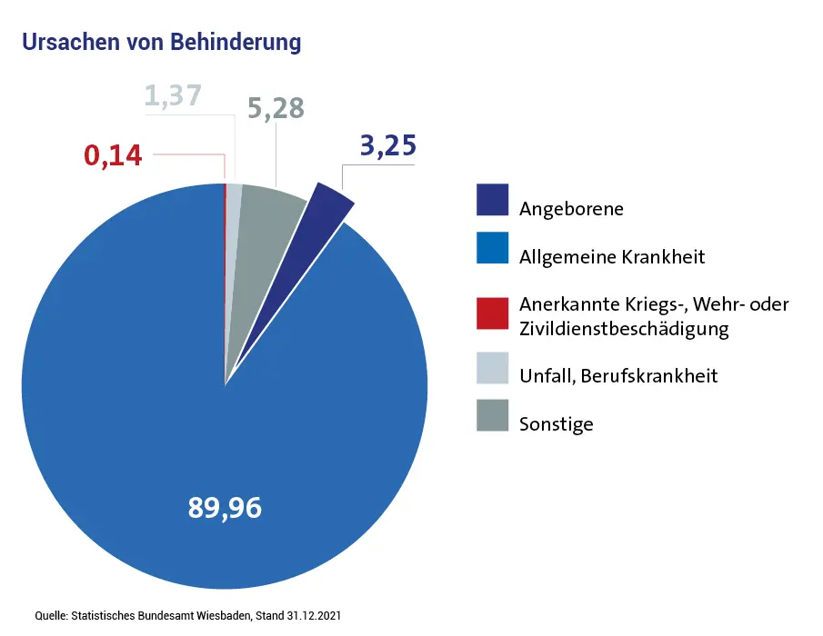 arten von geistiger behinderung - Wie werden geistige Behinderungen eingeteilt