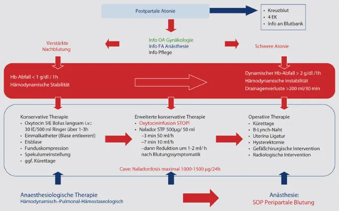 nalador nach geburt - Wie wirkt Nalador