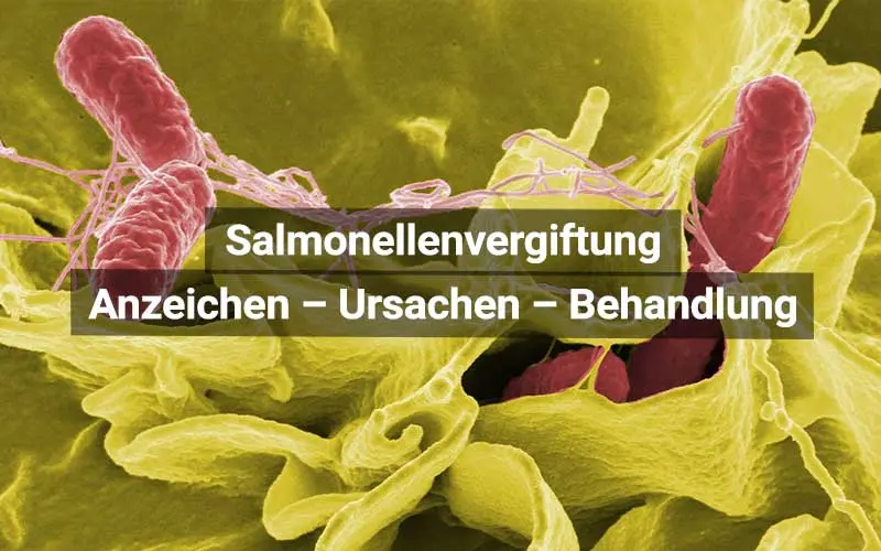 salmonellen symptome - Wird man Salmonellen von alleine wieder los