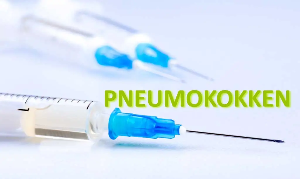 pneumokokken schwangerschaft - Wo kann man sich mit Pneumokokken anstecken