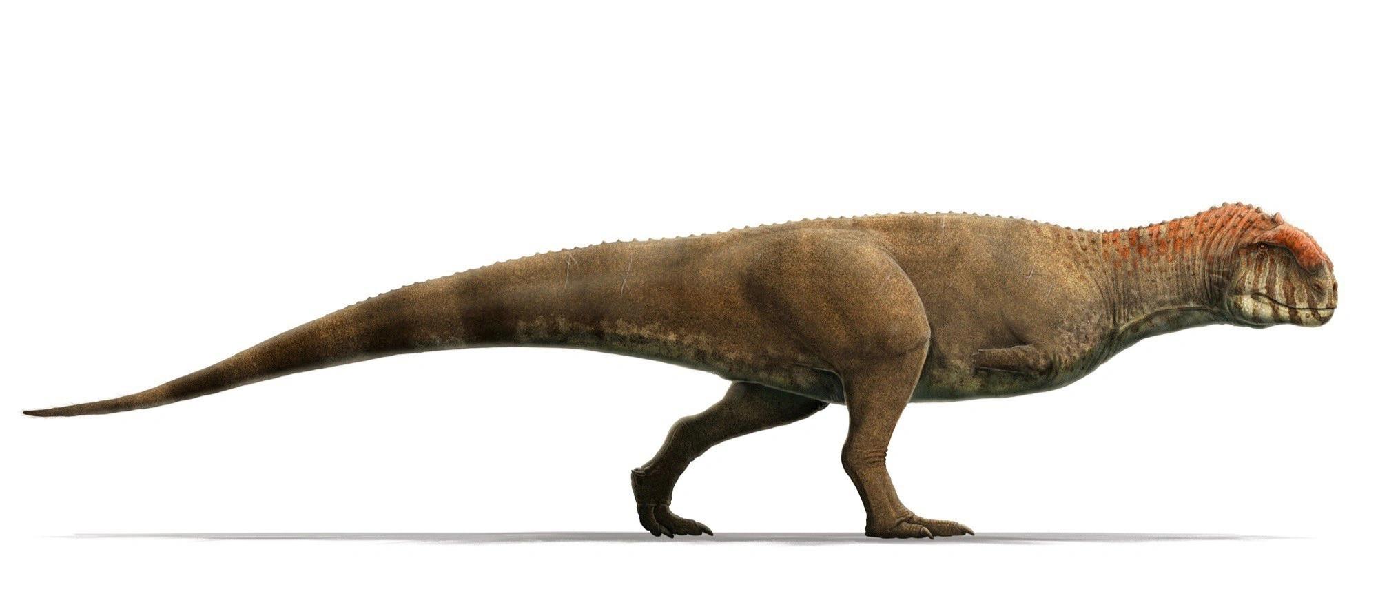 Majungasaurus: Der König von Madagaskar - Wo lebte der Majungasaurus majungasaurus - Wo lebte der Majungasaurus